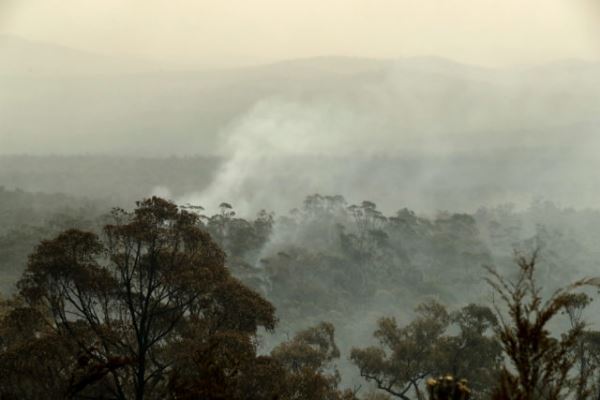 Пожары в Австралии: собрали актуальную информацию и объясняем, почему это касается всех