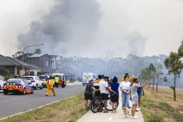 Пожары в Австралии: собрали актуальную информацию и объясняем, почему это касается всех